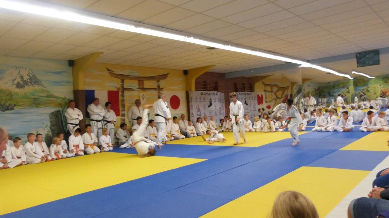 Photo 31